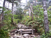 西吾妻山への登山道