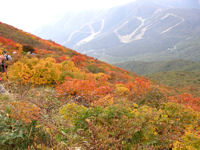 磐梯山山頂近くの紅葉