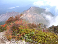 磐梯山山頂付近から見た櫛ヶ峰