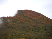 お花畑から見た磐梯山の紅葉